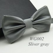 WG002 Sliver gray