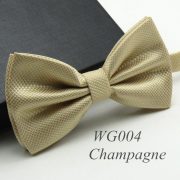 WG004 Champagne